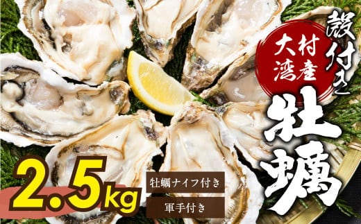 大村湾産 殻付き 牡蠣 加熱用 Aセット 約2.5kg ダイダイ2個付き ナイフ・軍手付き 長崎 カキ かき 冷蔵【2026年2月下旬~3月下旬順次発送予定】