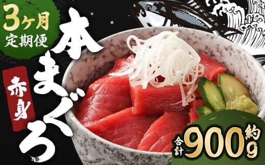 【3ヶ月定期便】長崎県産 本マグロ 赤身 300g 2人前~3人前 鮪 魚 刺身 【大村湾漁業協同組合】