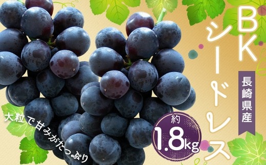 時津町産 BKシードレス 約1.8kg ぶどう 果物 くだもの フルーツ 【2026年8月下旬~9月上旬迄発送予定】