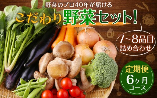 【定期便 6ヶ月コース】野菜のプロ40年が届けるこだわり野菜セット! 7~8品目 詰め合わせ 【2026年1月上旬より発送開始】