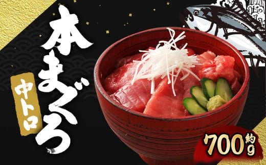 長崎県産 本マグロ「中トロ」約700g【大村湾漁業協同組合】