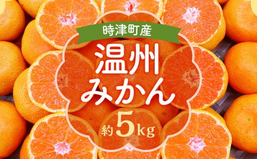 時津町特産 温州みかん 約5kg 糖度が高くなる時期のみお届け!【時期厳選】【2025年12月上旬~2026年1月下旬迄発送予定】