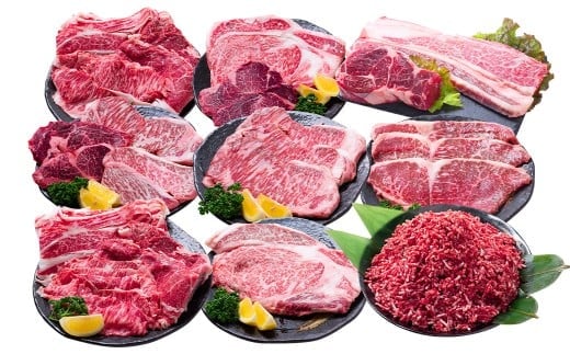 【12回定期便】 長崎和牛 プレミアムコース / 12回定期便 和牛 牛肉 お肉 肉 サーロイン もも カルビ バラ ロース リブロース すね 牛ミンチ ミンチ ヒレ トモサンカク シキンボ ステーキ 焼き肉 焼肉 すき焼き 煮込み 煮込 しゃぶしゃぶ セット 食べ比べ 定期便 長崎県 時津町 冷凍