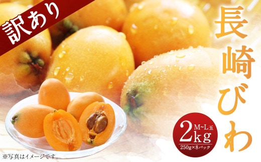 《傷ありのため訳あり》 長崎びわ 約2kg 約250g×8パック M~Lサイズ 傷あり 訳あり 長崎県産 枇杷 ビワ びわ フルーツ 果物 果実 【2026年5月下旬~6月上旬迄発送予定】