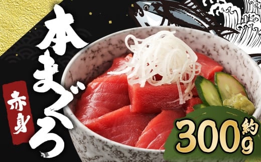 長崎県産 本マグロ赤身 300g 2人前~3人前 【大村湾漁業協同組合】