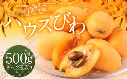長崎 高級ハウスびわ 500g 化粧箱入り 枇杷【初夏の風物詩】【2026年4月上旬~下旬迄発送予定】 びわ 枇杷 果物 フルーツ 贈り物 ギフト