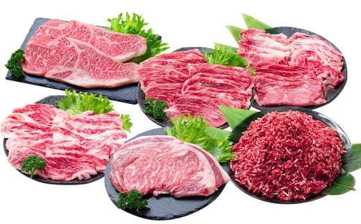 【年6回定期便】 長崎和牛 トライアルコース / 6回定期便 和牛 牛肉 お肉 肉 赤身 サーロイン もも カルビ バラ ロース 牛ミンチ ミンチ リブロース ステーキ 焼き肉 焼肉 すき焼き しゃぶしゃぶ 定期便 長崎県 時津町 冷凍