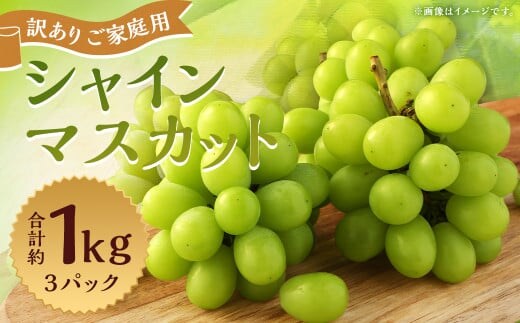 訳あり ご家庭用 シャインマスカット 3パック 約1kg【2026年8月下旬~9月下旬迄発送予定】ぶどう 葡萄 ブドウ 果物 フルーツ