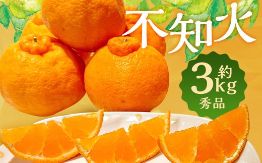 春の柑橘 不知火 約3kg 秀品 柑橘 フルーツ長崎県 時津町産 【2026年2月下旬~3月下旬迄発送予定】