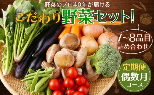 【定期便 偶数月コース】野菜のプロ40年が届けるこだわり野菜セット! 7~8品目 詰め合わせ 【2026年2月上旬より発送開始】