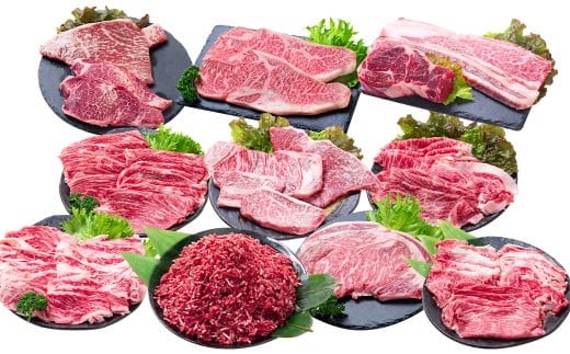 【12回定期便】 長崎和牛 スタンダードコース / 12回定期便 和牛 牛肉 お肉 肉 ヒレ もも カルビ バラ サーロイン 牛ミンチ ミンチ ロース リブロース すね トモサンカク シキンボ ステーキ 焼き肉 焼肉 すき焼き しゃぶしゃぶ 煮込み 煮込 ブロック セット 食べ比べ 定期便 長崎県 時津町 冷凍
