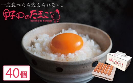 産みたて新鮮卵 野中のたまご 40個【野中鶏卵】[OAC001] / たまご 卵 長持ち 濃厚 玉子 卵料理 タマゴ 鶏卵 オムレツ 卵かけご飯 卵焼き たまご 大容量