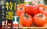 【先行受付】最高級 特選小串トマト 約1kg（8個～13個程度）【グリーン東彼新鮮市場】[OAE001] / おぐしとまと とまと 濃厚トマト 人気とまと 川棚トマト 野菜 サラダ 健康野菜 小串トマト ビタミン  日本一の称号 川棚トマト ブランドトマト とまと