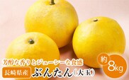 【数量限定】ぶんたん 大玉 約8kg【長崎ぶんたんの会 】[OAF001] / 完熟 贈答 ギフト ミカン 柑橘 果物  フルーツ 文旦 ブンタン かんきつ 柑橘類 カンキツ 蜜柑 みかん