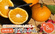 【先行受付】甘夏みかん 有機肥料栽培 約8kg【おだ農園】[OAG001] /  ミカン 柑橘 果物  フルーツ あまなつ アマナツ 甘夏ミカン 甘夏 あまなつ みかん 長崎県産甘夏みかん 蜜柑 数量限定 甘夏 甘夏ミカン 九州産 長崎県産