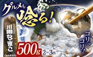 【先行予約】【数量限定】川棚 なまこ 約500g ※2025年12月中旬以降発送【森水産】[OAI002] / 大村湾なまこ 高級なまこ 新鮮なまこ ナマコ おつまみ 海鮮 魚介 新鮮魚介類 正月 産地直送海鮮 海鼠