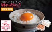 【3回定期便】産みたて新鮮卵 野中のたまご  40個×3回 計120個【野中鶏卵】[OAC004] / 卵 長持ち 濃厚 玉子 濃厚 卵料理 タマゴ 鶏卵 オムレツ 卵かけご飯 卵焼き