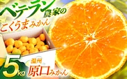 【数量限定】温州高糖度 原口みかん 約5kg【長崎ぶんたんの会】[OAF004] / ミカン 柑橘 果物 フルーツ みかん 原口みかん 人気みかん 高糖度みかん ミカン 柑橘類 長崎県産柑橘 産地直送 温州みかん
