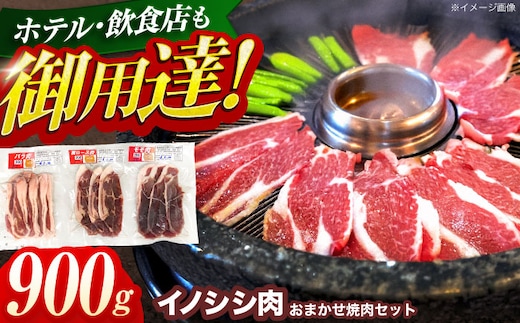 ジビエ 天然イノシシ肉 おまかせ焼肉セット 900g （ロース・モモ・バラ）【照本食肉加工所】[OAJ005] / 猪 猪肉 いのしし肉 イノシシ イノシシ肉 ジビエ いのしし 長崎県猪 川棚町産猪 ぼたん鍋用いのしし 九州産イノシシ じびえ ジビエ ジビエ肉