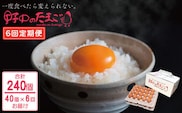 【6回定期便】産みたて新鮮卵 野中のたまご  40個×6回 計240個【野中鶏卵】[OAC005] / 卵 長持ち 濃厚 玉子 濃厚 卵料理 タマゴ 鶏卵 オムレツ 卵かけご飯 卵焼き