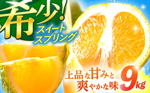 【数量限定】甘くてジューシーな果実 スィートスプリング 約9kg【長崎ぶんたんの会 】[OAF007] / ミカン 柑橘 果物 フルーツ カンキツ かんきつ 柑橘 柑橘類 スイートスプリング みかん 蜜柑