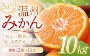 させぼ温州みかん 10kg【おだ農園】[OAG007] / 蜜柑 ミカン 温州ミカン 温州 させぼみかん みかん 佐世保 温州みかん 冬みかん こたつみかん ミカン 甘い あまい