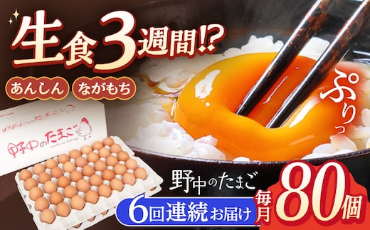 【6回定期便】産みたて新鮮卵 野中のたまご 80個×6回 計480個【野中鶏卵】[OAC008] / 卵 長持ち 濃厚 玉子 濃厚 卵料理 タマゴ 鶏卵 オムレツ 卵かけご飯 卵焼き