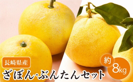 【数量限定】長崎ざぼん&ぶんたん セット 約8kg【長崎ぶんたんの会 】[OAF008] / ミカン 柑橘 果物 フルーツ かんきつ ザボン ブンタン 朱欒 文旦 食べ比べ 柑橘類 セット 詰め合わせ みかん 蜜柑