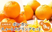 【数量限定】ポンカン&スィートスプリング 食べ比べセット 約9kg【長崎ぶんたんの会】[OAF009] /  ミカン 柑橘 果物  フルーツ 蜜柑 ぽんかん 椪柑 スイートスプリング 柑橘類 みかん かんきつ カンキツ ポンカン
