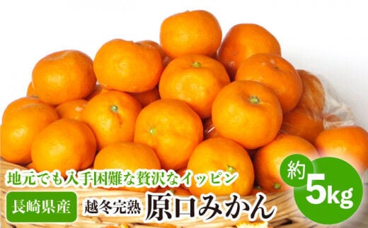 【数量限定】越冬完熟 原口 みかん 約5kg 完熟ミカン ミカン 柑橘 果物 フルーツ【長崎ぶんたんの会】[OAF010]