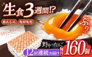 【12回定期便】産みたて新鮮卵 野中のたまご  160個×12回 計1920個【野中鶏卵】[OAC012] / 卵 長持ち 濃厚 玉子 濃厚 卵料理 タマゴ 鶏卵 オムレツ 卵かけご飯 卵焼き