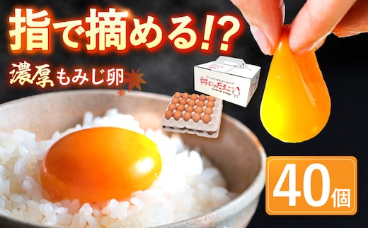 平飼い もみじ の 高級 たまご 40個 ※12月発送なし【野中鶏卵】 [OAC013]