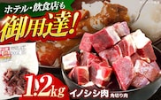 ジビエ 天然イノシシ肉 角切り肉 1.2kg（カレー・シチュー）【照本食肉加工所】[OAJ015] / 猪 猪肉 いのしし肉 イノシシ イノシシ肉 ジビエ いのしし 長崎県猪 川棚町産猪 ぼたん鍋用いのしし 九州産イノシシ じびえ ジビエ ジビエ肉