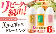 【12回定期便】スムージー専門店が作った「美味しすぎるドレッシング」 6本セット （玉ねぎ・人参・ごぼう 各300ml）【ビタミン・スタンド】[OAK017] / 調味料 肉料理 魚料理 ソース カルパッチョ 南蛮漬け タルタルソース サラダ 主婦