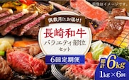 【6回定期便】偶数月にお届け！ 長崎和牛 バラエティ 部位 セット 毎回1kg ×6回【希少部位アリ！】【川下精肉店】[OAA020] / 国産牛 黒毛和牛 和牛 さーろいん サーロインステーキ肉 ステーキ肉 リブロース ロース肉 高級焼肉 焼肉 すきやき すき焼き 焼肉用