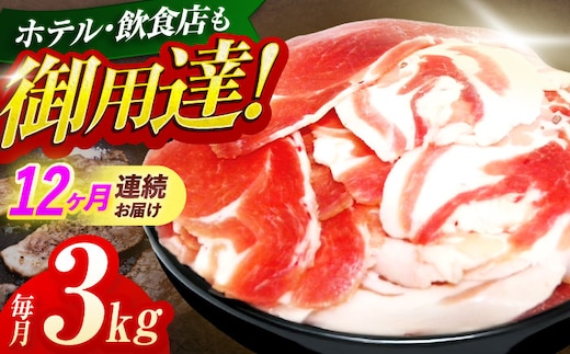 【12回定期便】ジビエ 天然イノシシ肉 切り落とし3kg（ぼたん鍋・煮込料理・野菜炒め用等）【照本食肉加工所】[OAJ027] / 猪 猪肉 いのしし肉 イノシシ イノシシ肉 ジビエ いのしし 長崎県猪 川棚町産猪 ぼたん鍋用いのしし 九州産イノシシ じびえ ジビエ ジビエ肉
