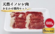 【6回定期便】ジビエ 天然イノシシ肉 おまかせ焼肉セット 600g （ロース・モモ・バラ）【照本食肉加工所】[OAJ029] / 猪 猪肉 いのしし肉 イノシシ イノシシ肉 ジビエ いのしし 長崎県猪 川棚町産猪 ぼたん鍋用いのしし 九州産イノシシ じびえ ジビエ ジビエ肉