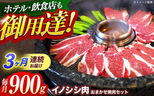 【3回定期便】ジビエ 天然イノシシ肉 おまかせ焼肉セット 900g （ロース・モモ・バラ）【照本食肉加工所】[OAJ031] / 猪 猪肉 いのしし肉 イノシシ イノシシ肉 ジビエ いのしし 長崎県猪 川棚町産猪 ぼたん鍋用いのしし 九州産イノシシ じびえ ジビエ ジビエ肉