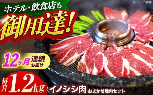 【12回定期便】ジビエ 天然イノシシ肉 おまかせ焼肉セット 1.2kg （ロース・モモ・バラ）【照本食肉加工所】[OAJ036] / 猪 猪肉 いのしし肉 イノシシ イノシシ肉 ジビエ いのしし 長崎県猪 川棚町産猪 ぼたん鍋用いのしし 九州産イノシシ じびえ ジビエ ジビエ肉