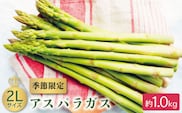 【先行受付】【数量限定】アスパラガス 2Lサイズ 約1.0kg【さつき農園】[OBD001] / グリーンアスパラガス あすぱら ヤサイ 野菜 旬野菜 春野菜 アスパラガス アスパラ お弁当 おかず 春芽 はるめ アスパラベーコン 栄養 野菜 やさい ヤサイ 春野菜 [OBD002]