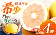 ぷりぷりで爽やかな香り！ 紅まどか 4個入り【おおたに農園】[OBP001] / 紅まどか 柑橘 かんきつ 文旦 ボンタン ぶんたん ブンタン 柑橘類 みかん ミカン 蜜柑 さっぱり べにまどか ベニマドカ ブンタン