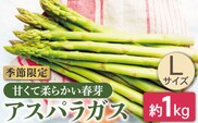 【先行受付】【数量限定】甘くて柔らかい春芽 アスパラガス Lサイズ 約1.0kg【さつき農園】[OBD002] / グリーンアスパラガス あすぱら ヤサイ 野菜 旬野菜 春野菜 アスパラガス アスパラ お弁当 おかず 春芽 はるめ アスパラベーコン 栄養 野菜 やさい ヤサイ 春野菜