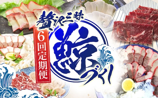 【6回定期便】贅沢三昧くじら食べ比べ定期便【中島(鯨)商店】 [OBR014]