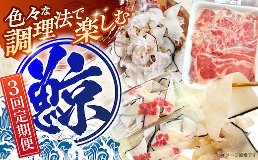 【3回定期便】調理用部位定期便（煮しめ鯨・炙り用脂筋肉スライス・特上ゆかけ鯨（畝）） [OBR018]