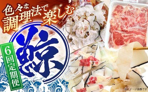 【6回定期便】調理用部位定期便（煮しめ鯨・炙り用脂筋肉スライス・特上ゆかけ鯨（畝）） [OBR019]