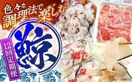 【12回定期便】調理用部位定期便（煮しめ鯨・炙り用脂筋肉スライス・特上ゆかけ鯨（畝）） [OBR020]