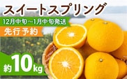 スイートスプリング 約10kg 長崎県産 / 爽やかな甘い香り 12月中旬以降順次発送！【田崎FARM】 [OCU001]