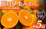 【先行予約】濃厚な食味！原口 早生みかん 長崎県産 約5kg【田崎FARM】[OCU003] / ミカン 蜜柑 柑橘 長崎県産みかん 原口蜜柑 早生ミカン 人気 家庭用みかん わせみかん はらぐちみかん ミカン 柑橘 川棚町産柑橘