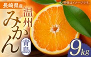 【先行予約】長崎県産 温州みかん （ 青島 ） みかん 9kg【Mt.Gファーム】[OCX003] / 柑橘 温州みかん 青島 ミカン 蜜柑 長崎県産柑橘 みかん 高糖度みかん 青島ミカン 柑橘類