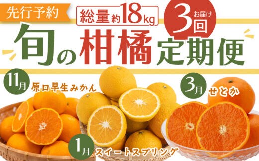 【先行予約・3回定期便】贅沢 柑橘 お便り〈11月：原口早生 5kg・1月：スイートスプリング 10kg・3月：せとか 3kg〉【田崎FARM】[OCU005] / みかん ミカン 蜜柑 柑橘 川棚町産柑橘 スィートスプリング 柑橘詰合わせ 柑橘定期便 食べ比べ かんきつ 長崎県産みかん 原口みかん 早生ミカン 数量限定 家庭用ミカン